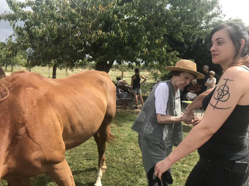 Rencontre avec les chevaux