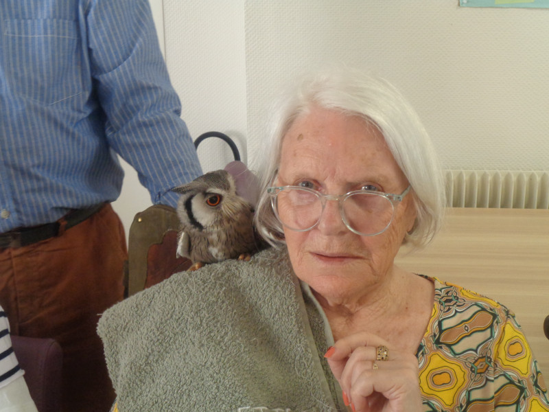 Les Chouettes du Cœur