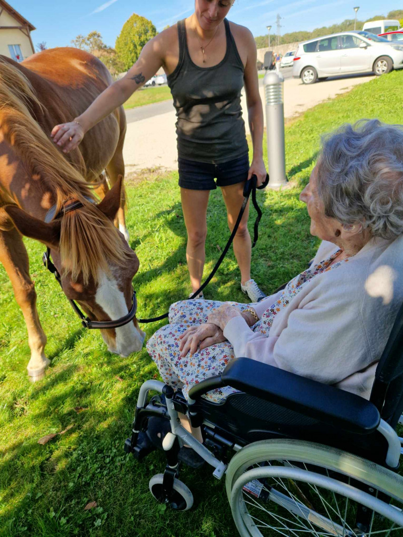 Rencontre avec les Chevaux de la Résidence