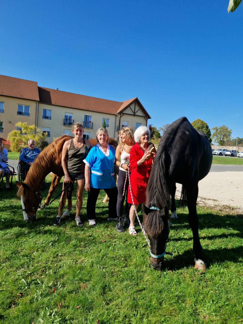 Rencontre avec les Chevaux de la Résidence