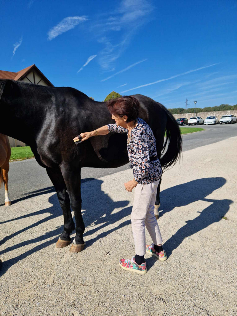 Rencontre avec les Chevaux de la Résidence